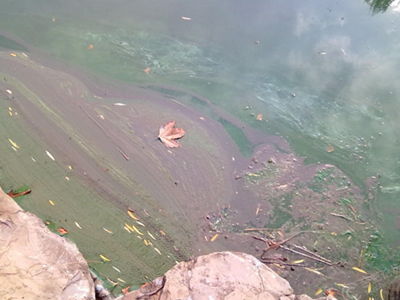 第三方水質(zhì)檢測(cè)公司